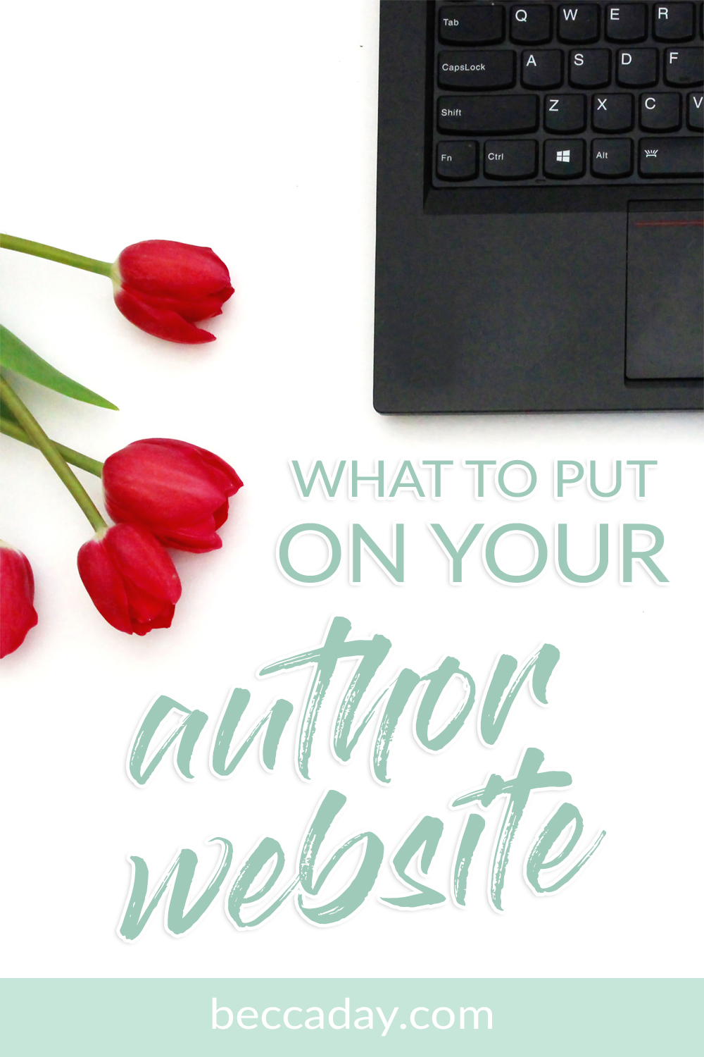 What To Put On Your Author Website