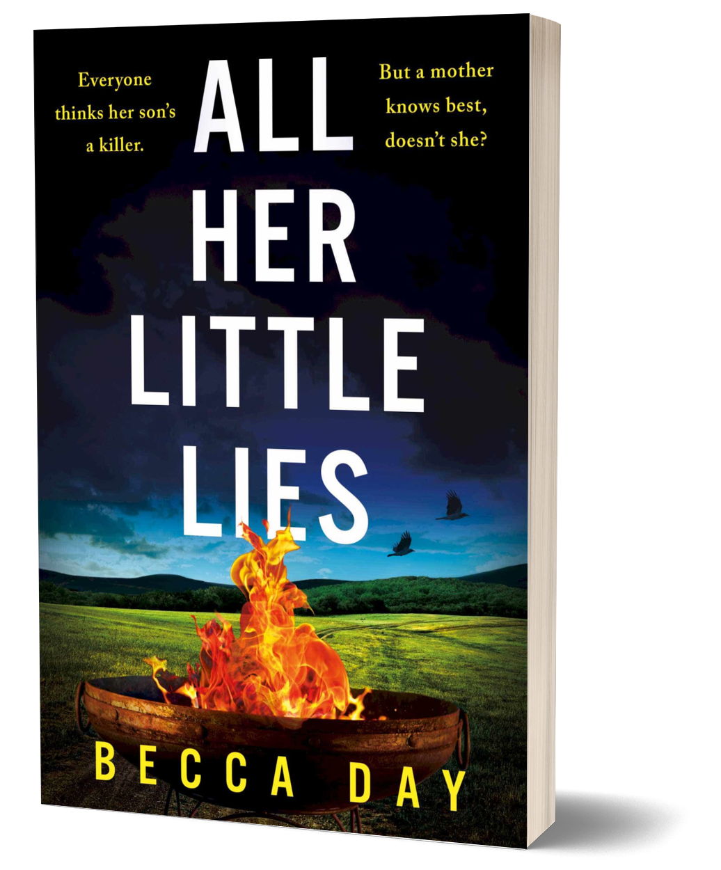 a psychological thriller book cover with a firepit on the front entitled 'All Her Little Lies' by Becca Day